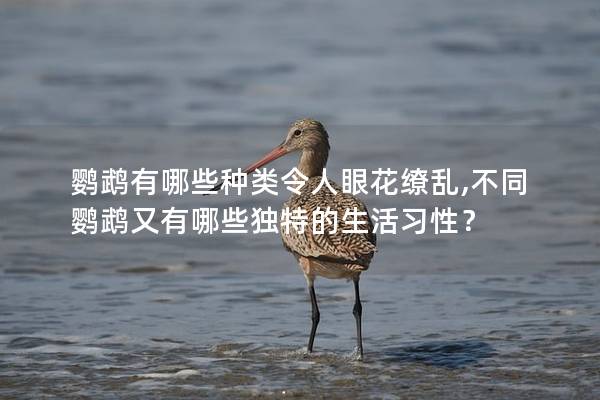 鸚鵡有哪些種類令人眼花繚亂,不同鸚鵡又有哪些獨特的生活習性？